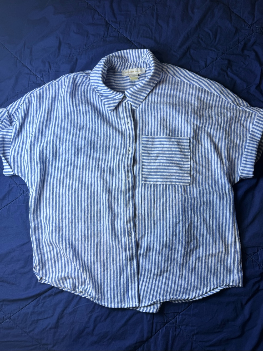 Monteau Blue and White Striped Short-Sleeve Button-Down Shirt